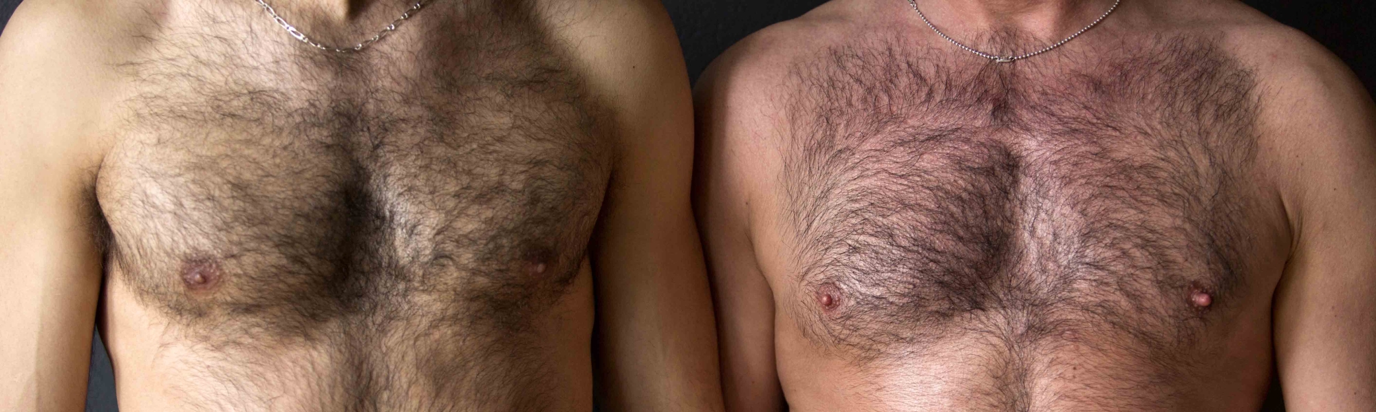 Bears, Cubs & their Followers